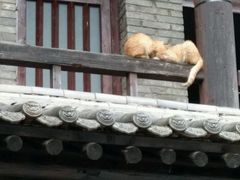 -沣峪森林公园龙潭戏水景区