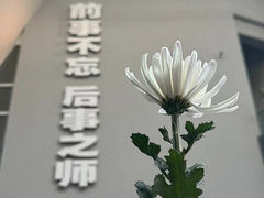 -侵华日军南京大屠杀遇难同胞纪念馆-停车场