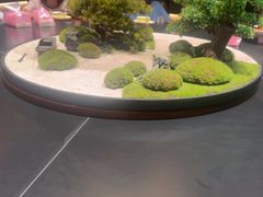 -阿露佳·舌尖上的安吉菜