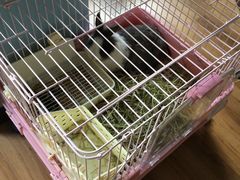 -藦茜花园宠物主题亲子互动体验馆(国顺东路店)