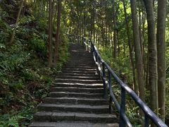 -龙湾潭国家森林公园