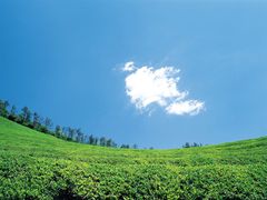 -呼伦贝尔大草原