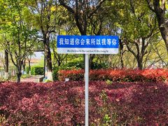 -高东镇樱花园