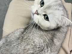 -佳雯宠物医院·皮肤科·内外科(春晓路分院)