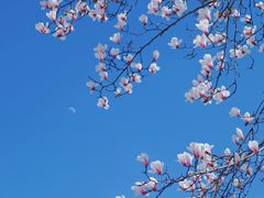 -西湖文化广场