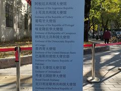 -三里屯东五街银杏大道