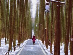 -山王坪喀斯特国家生态公园