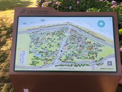 -上海滨江森林公园