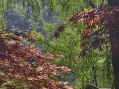 -秦岭终南山世界地质公园翠华山景区