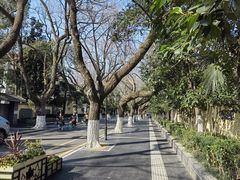 -颐和路民国时期公馆风貌区