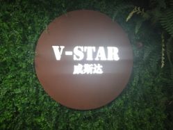 -V-STAR威斯达•高级私人定制