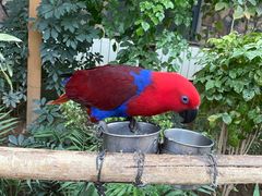 -南宫五洲植物乐园