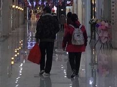 -肃宁华斯国际裘皮城