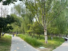 -回龙观体育文化公园