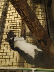 -Zoolung Zoolung动物主题公园(海信广场店)