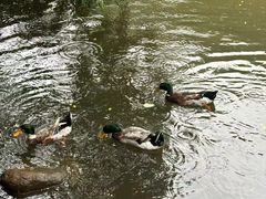 -水濂山森林公园