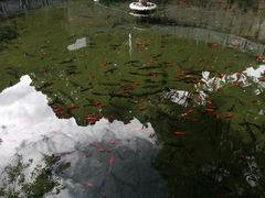 -新农都水产市场