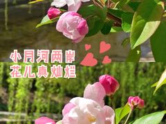 -海棠花溪(元大都城垣遗址公园)