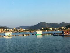 -盐洲岛