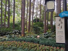-上海醉白池公园
