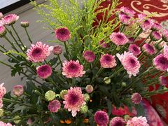 -名汇粤菜馆(黄兴路店)