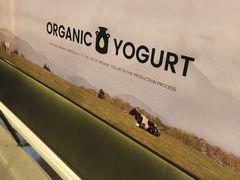 -万达广场(太原街店)