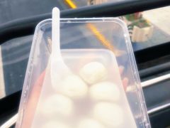 -BUS TOUR观光巴士