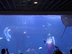 -乌鲁木齐海洋馆