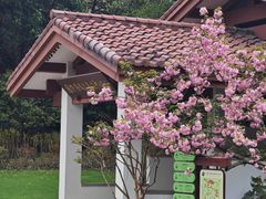 -中国茶叶博物馆(双峰馆区)