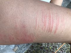 -海上驿站渔家菜馆