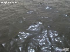 -海河外滩公园