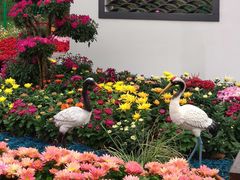 -上海共青森林公园