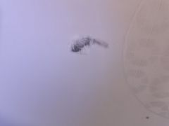 -喜鹊愉家酒店(郑州曼哈顿博览中心地铁站店)