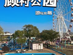 -顾村公园
