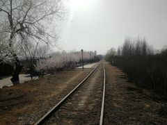 -永定河休闲森林公园