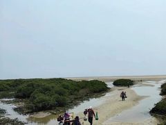 -北海金海湾红树林生态旅游区