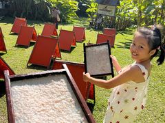 -大象粑粑造纸公园