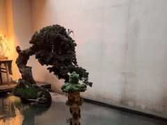 -觀芷隐轩