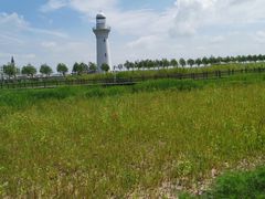 -呼兰河口湿地公园