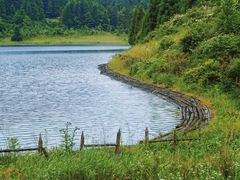 -武陵山森林公园