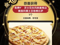 -达美乐比萨(武定店)