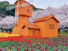 -苏州上方山国家森林公园