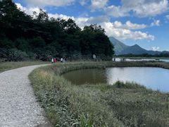 -大九湖