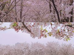 -龙美术馆(西岸馆)