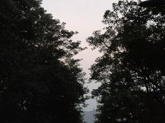 -广州市帽峰山景区