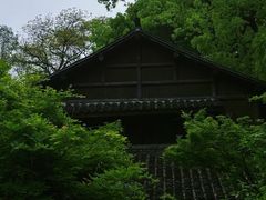 -杭州植物园