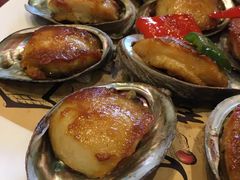 -顺德了能馆(虎门店)