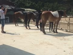 -枫露马术学院(藏书校区)