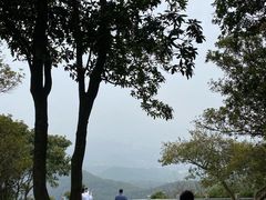 -广州市帽峰山景区