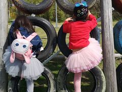 -前小桔亲子创意农场·草莓采摘·露营烧烤